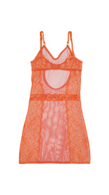 Aglaea Babydoll