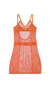 Aglaea Babydoll